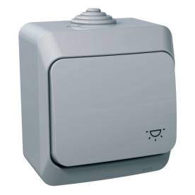 CEDAR PLUS Egypólusú nyomó, lámpajellel, IP44, szürke