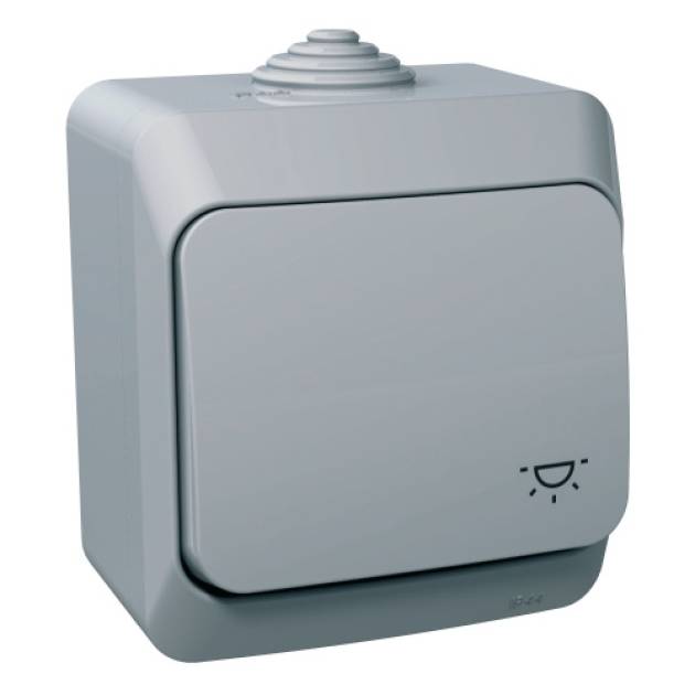 CEDAR PLUS Egypólusú nyomó, lámpajellel, IP44, szürke 