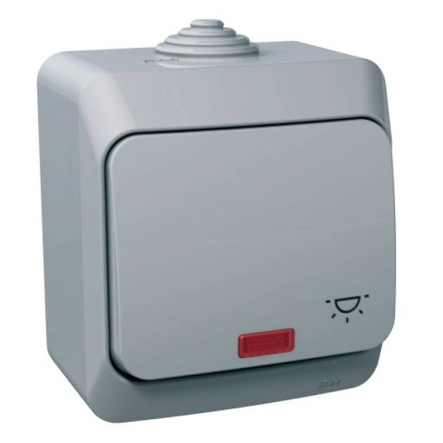 CEDAR PLUS Egypólusú nyomó lámpajellel, jelzőfénnyel, IP44, szürke 